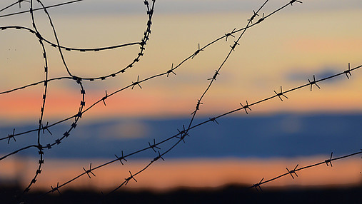 Das Foto zeigt Stacheldraht vor einem Abendhimmel. 