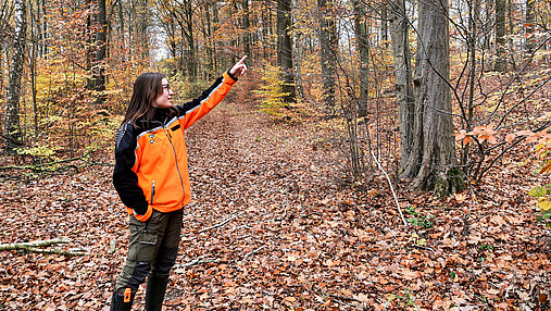 Foto zum Thema Forstwirtschaft und Klimawandel: Zu sehen ist Försterin Patricia Stichling, die mit dem Finger in Richtung Baumkrone zeigt.