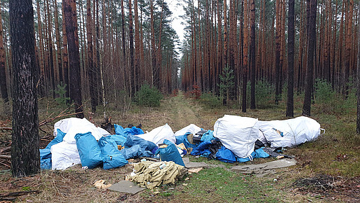 Wenn sogar ein alter Zinksarg im Wald landet