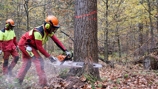 Gewerkschaft fordert 10.000 neue Stellen